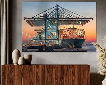 Maersk Containership Rotterdam van Ramon Kok