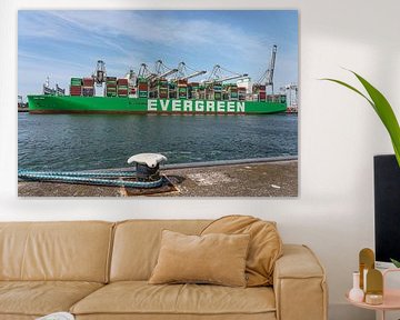 Evergreen's container ship Ever Aria. by Jaap van den Berg