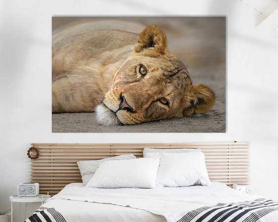 Aperçu de la chambre