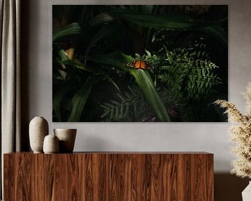 Butterfly in the green by Talitha van den Brink