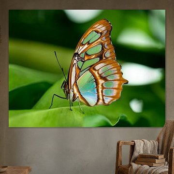 Couleur sur une feuille