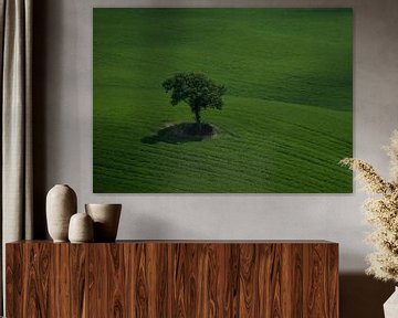 Eenzame boom in Toscane, Italië van Mieke Noordanus