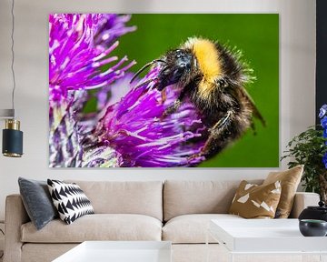 Close-up van een hommel op een bloem van Photo Art Thomas Klee