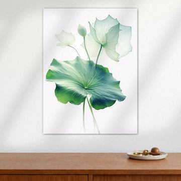 Transparenter Lotus von Color Square