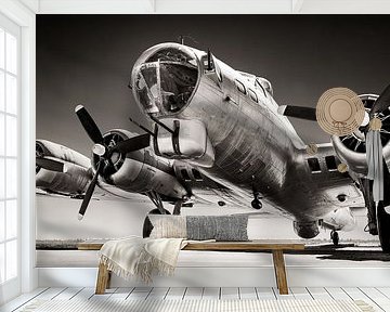 bomber by Frank Peters