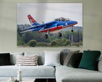 Dassault/Dornier Alpha Jet van de Patrouille de France. van Jaap van den Berg