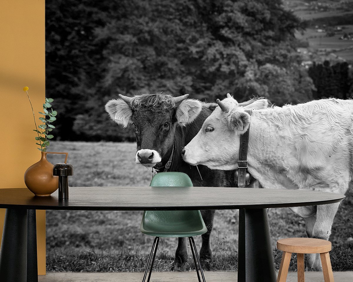 Raumvorschau