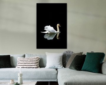 Cygne avec image miroir sur Sandra Snoeks