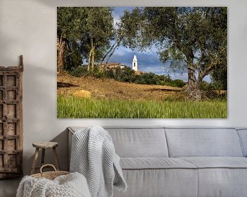 Pienza among olive trees, Italy by Adelheid Smitt