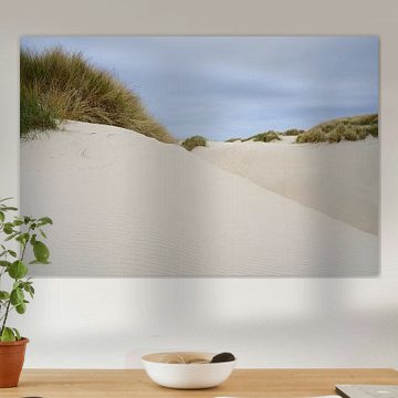 Texel Dunes