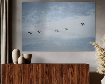 Pelikanen in de lucht van Tobias van Krieken