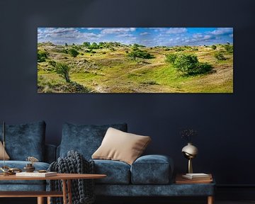 Panoramic view of the Dutch dunes by eric van der eijk