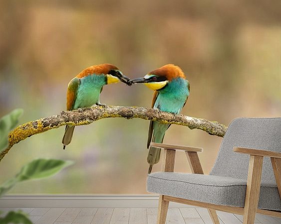 Voorbeeld van het werk in een kamer