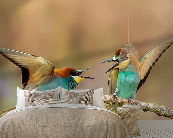 Aperçu de la chambre