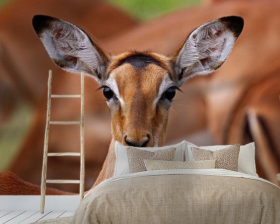 Voorbeeld van het werk in een kamer