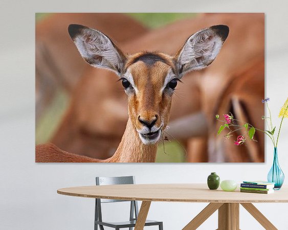 Voorbeeld van het werk in een kamer