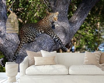 Luipaard in een boom - Wilde dieren in Afrika van W. Woyke