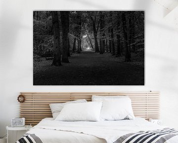 Zwart-wit foto bospad bij Bergen van Rob Baken