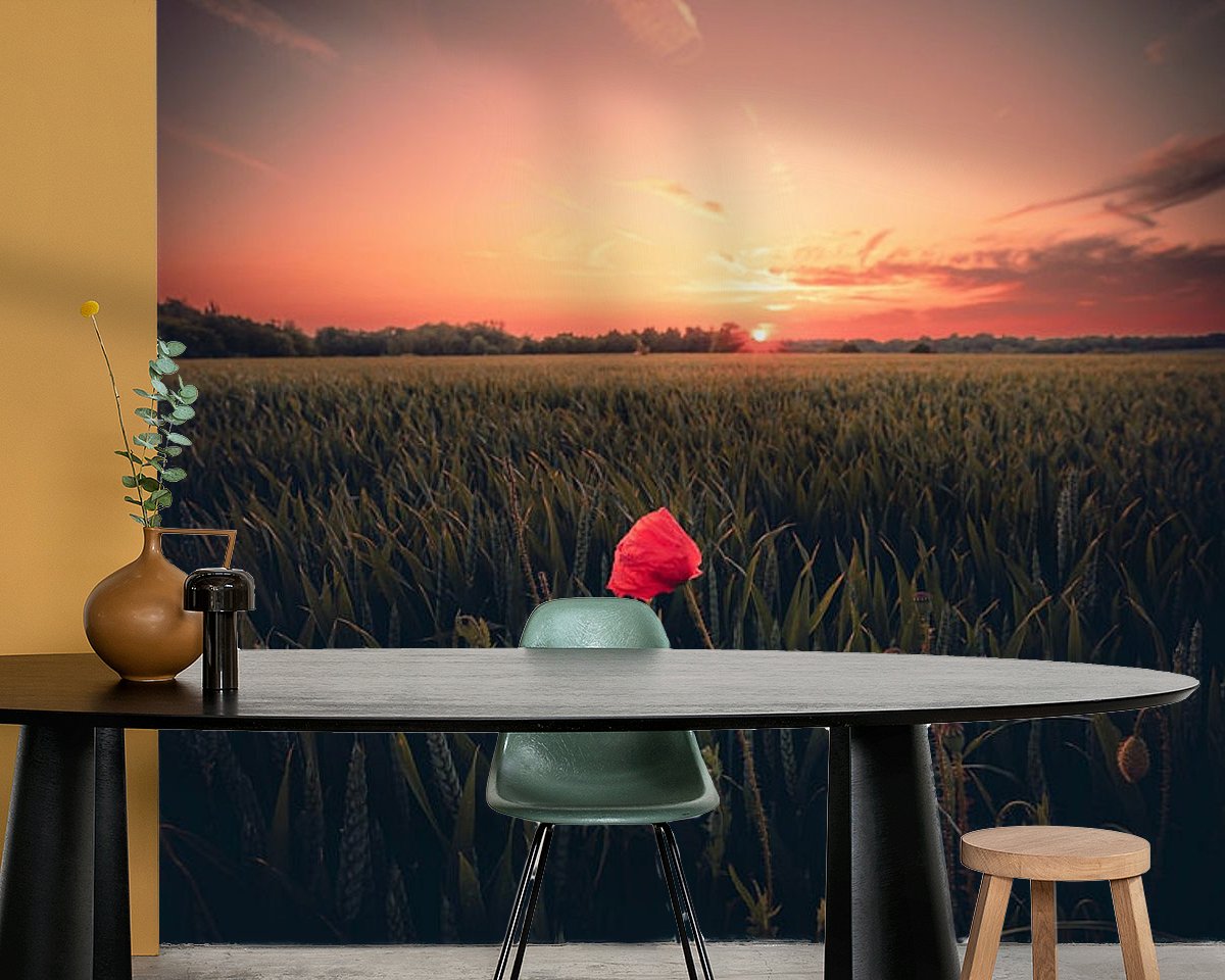 Voorbeeld van het werk in een kamer