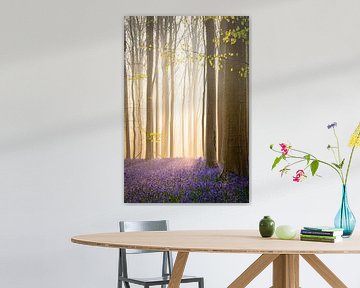 Hallerbos von Samantha Rorijs