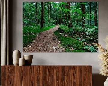 Het pad van Leo de Graaf