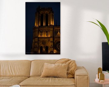 Parijs - De Notre-Dame in de nacht van Eline Willekens