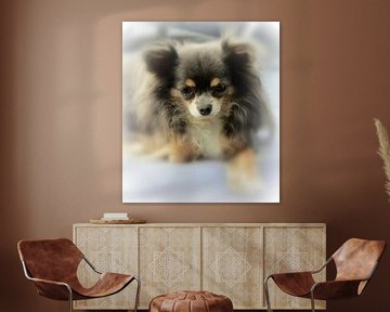 Chihuahua Portrait von Nicky`s Prints