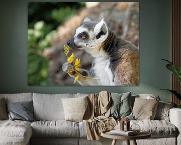 Romantic lemur with flowers by BHotography
