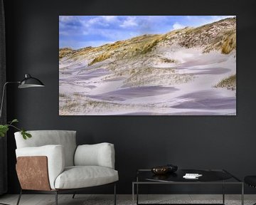 Hollandse kust echte natuur met strand en duin van eric van der eijk