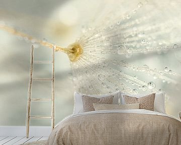 Pastel panorama: Drops on the fluff of the dandelion by Marjolijn van den Berg