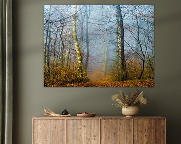 Forest in the autumn van brava64 - Gabi Hampe