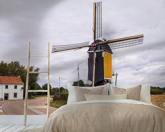 Aperçu de la chambre