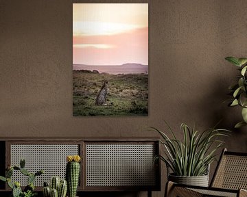 Gepard im Sonnenuntergang von Simone Janssen
