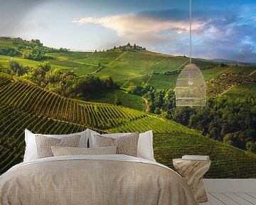Vineyards on the Langhe hills in the morning by Stefano Orazzini