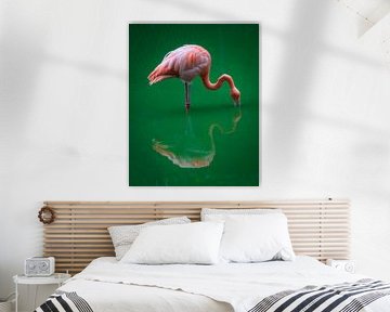 Flamingo van Andre Michaelis