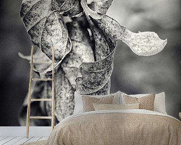 Verstrengeld van Bob Daalder