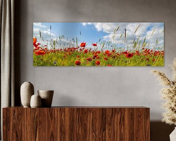 Panoramic poppy field with corn by Melanie Viola