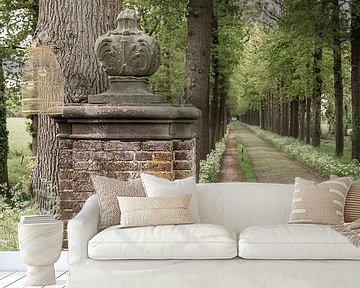 Laan op Landgoed Oldenaller te Putten met oude stenen zuil van Mayra Fotografie