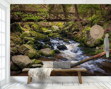 Ravennaschlucht by Goos den Biesen