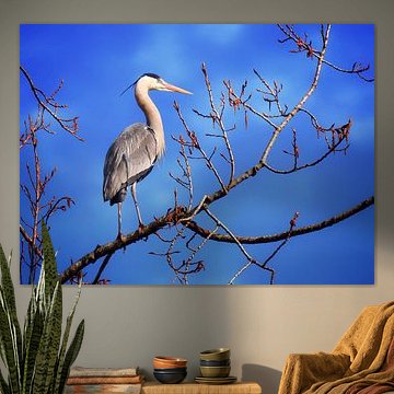 Der Reiher auf dem Baum