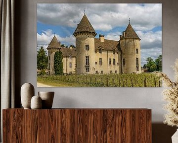 Kasteel van Savigny-lès-Beaune.