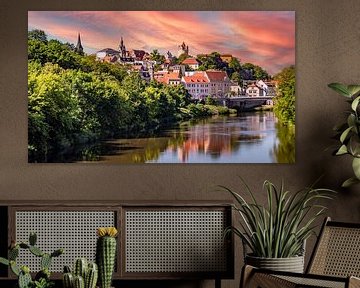 Panoramic view of the town of Bernburg in Saxony-Anhalt by Animaflora PicsStock