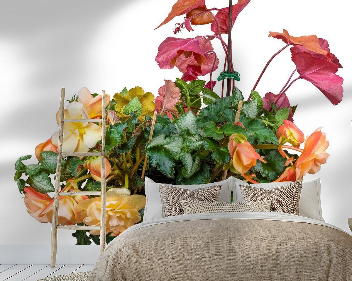 Raumvorschau