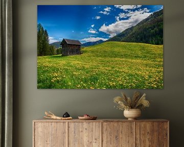 Mountain Meadow by Jaco Verheul