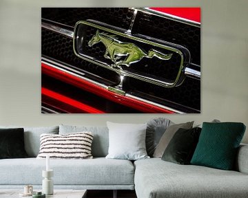 Logo de la Ford Mustang sur Berend Drent