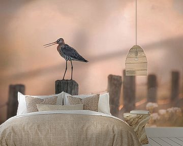 Black-tailed godwit on pole by natascha verbij