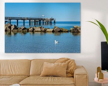 Seagull and pier on the Baltic coast in Wustrow on the Fisc