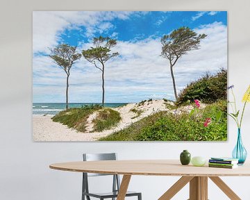 The West Beach with Trees and Dune on Fischland-Darß by Rico Ködder