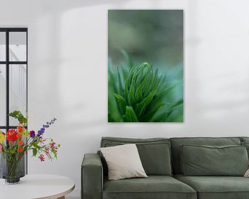 Blütenknospe, botanisches Foto von Karijn | Fine art Natuur en Reis Fotografie