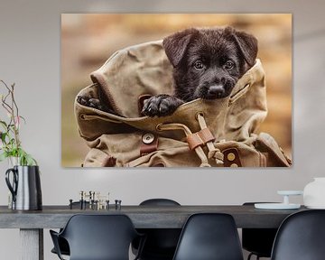 Doggy bag, zwarte Duitse Herder puppy van Pixel Rebel